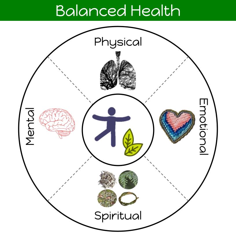 Balanced Health title at top of image. The balanced health curriculum is shown as a circle with four quadrants: physical, emotional, spiritual, and mental. At the centre of the circle, where the four quadrants meet, is a silhouette of a human icon with green leaves at the right.
