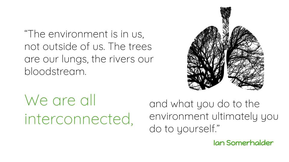 Black and white tree branches silhouetted in the shape of a pair of lungs to the top right of the quote “The environment is in us, not outside of us. The trees are our lungs, the rivers our bloodstream. We are all interconnected, and what you do to the environment ultimately you do to yourself." by Ian Somerhelder.